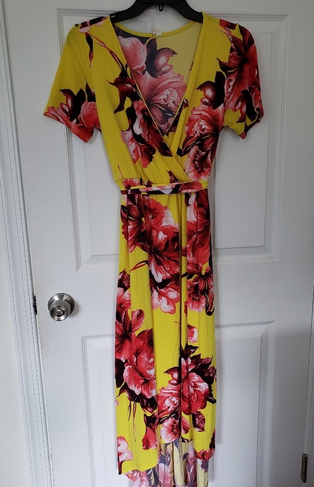 Pinkblush High/Low Maternity/Nursing dress
